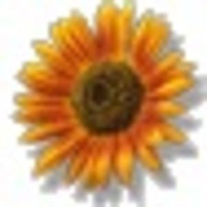 Meet your Posher, Shana